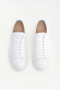 Kate Low Sneakers